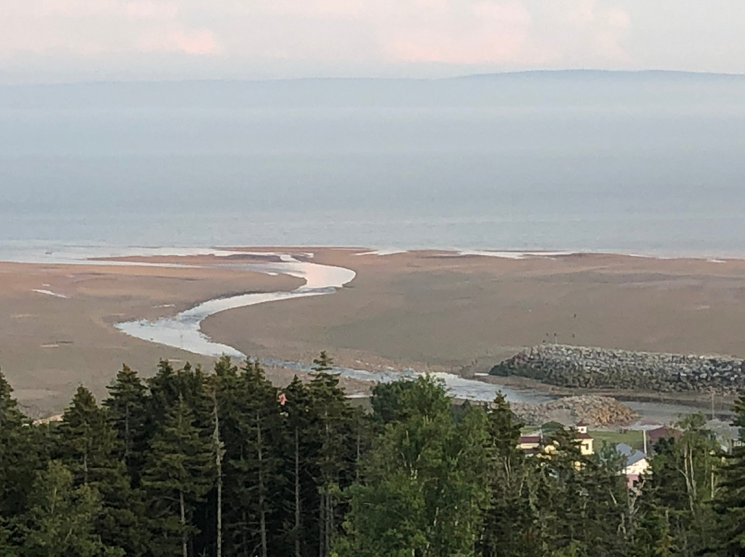 Falcon Ridge Inn Bed and Breakfast主图