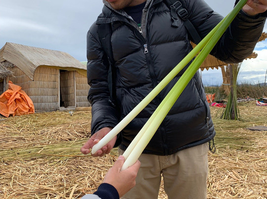 Titicaca Experiences-普诺大区必去景点