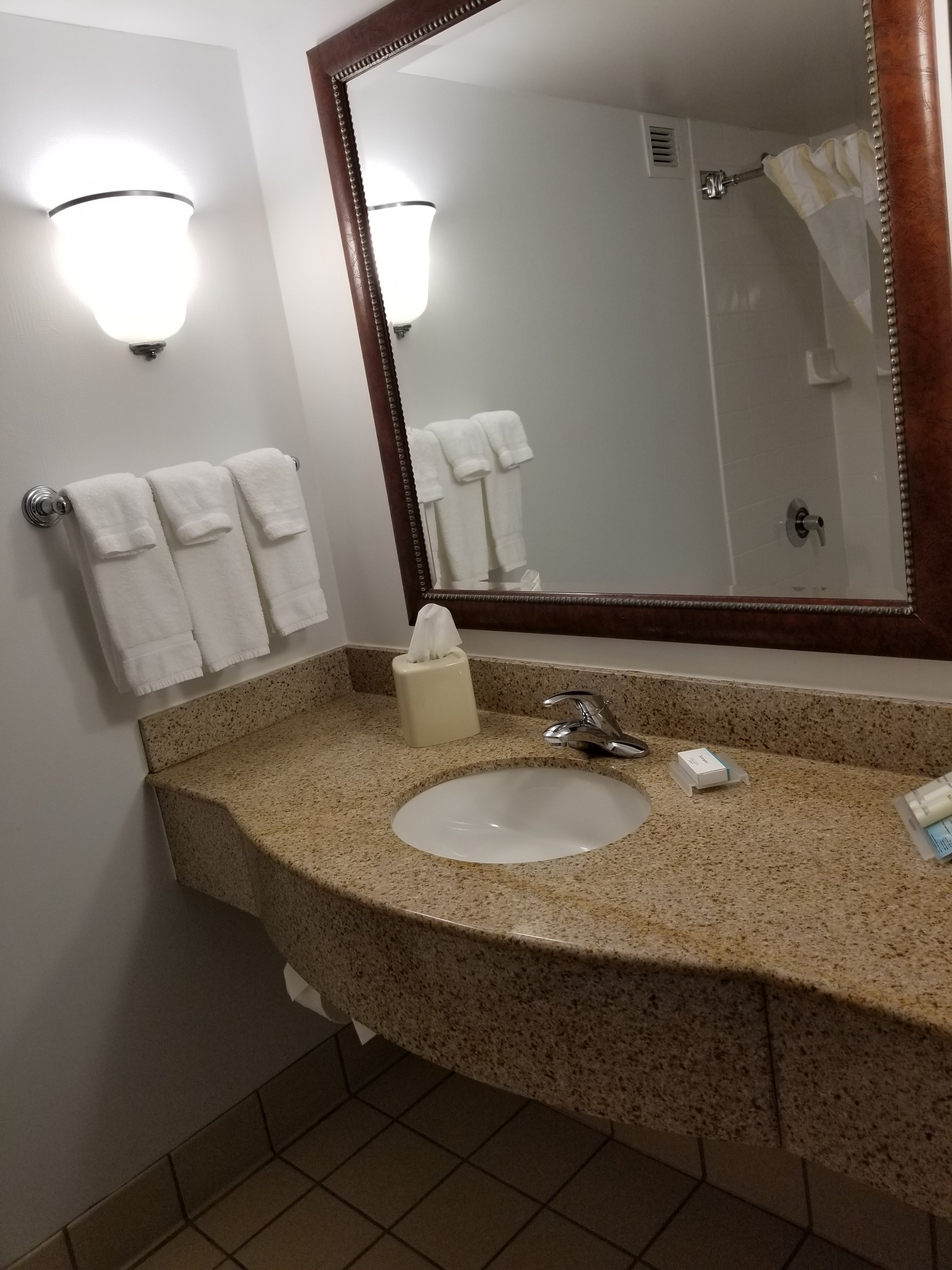 德梅因/厄班戴尔希尔顿花园酒店-浴室