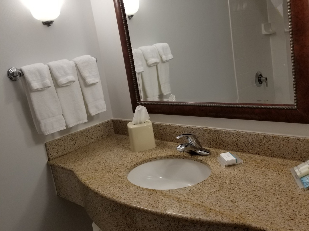 德梅因/厄班戴尔希尔顿花园酒店主图