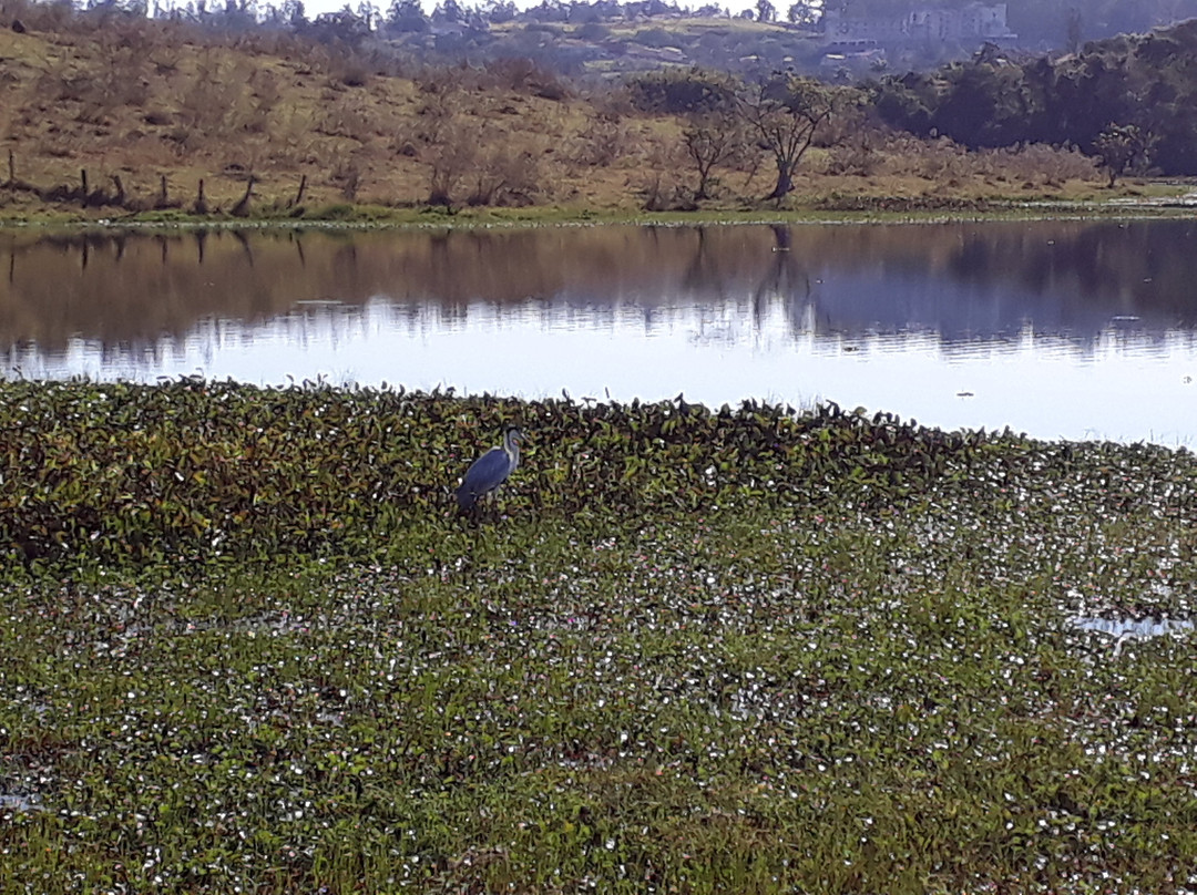 Palmeiras Lake-Aguas de Sao Pedro必去景点