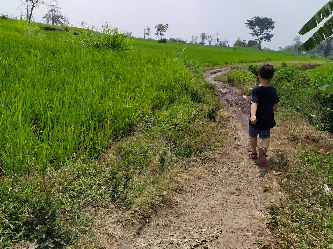 Kaliandra Eco Resort & Organic Farm主图