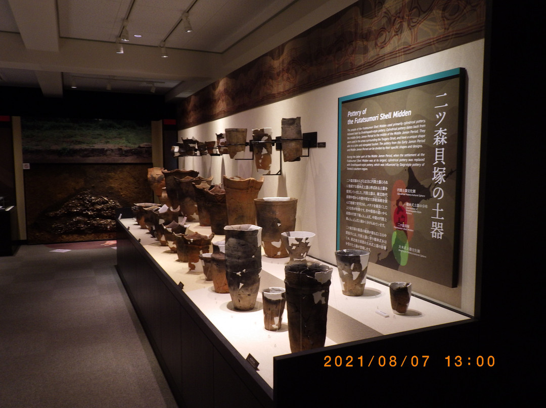 Shell Midden Museum景点图片