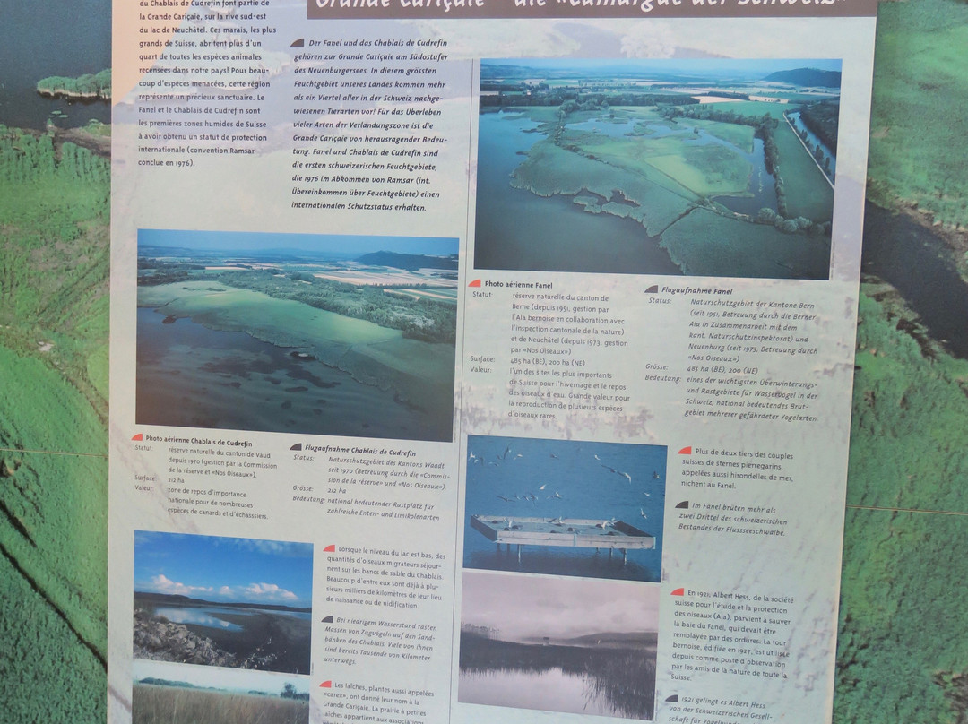 Centre-Nature BirdLife de La Sauge-Cudrefin必去景点