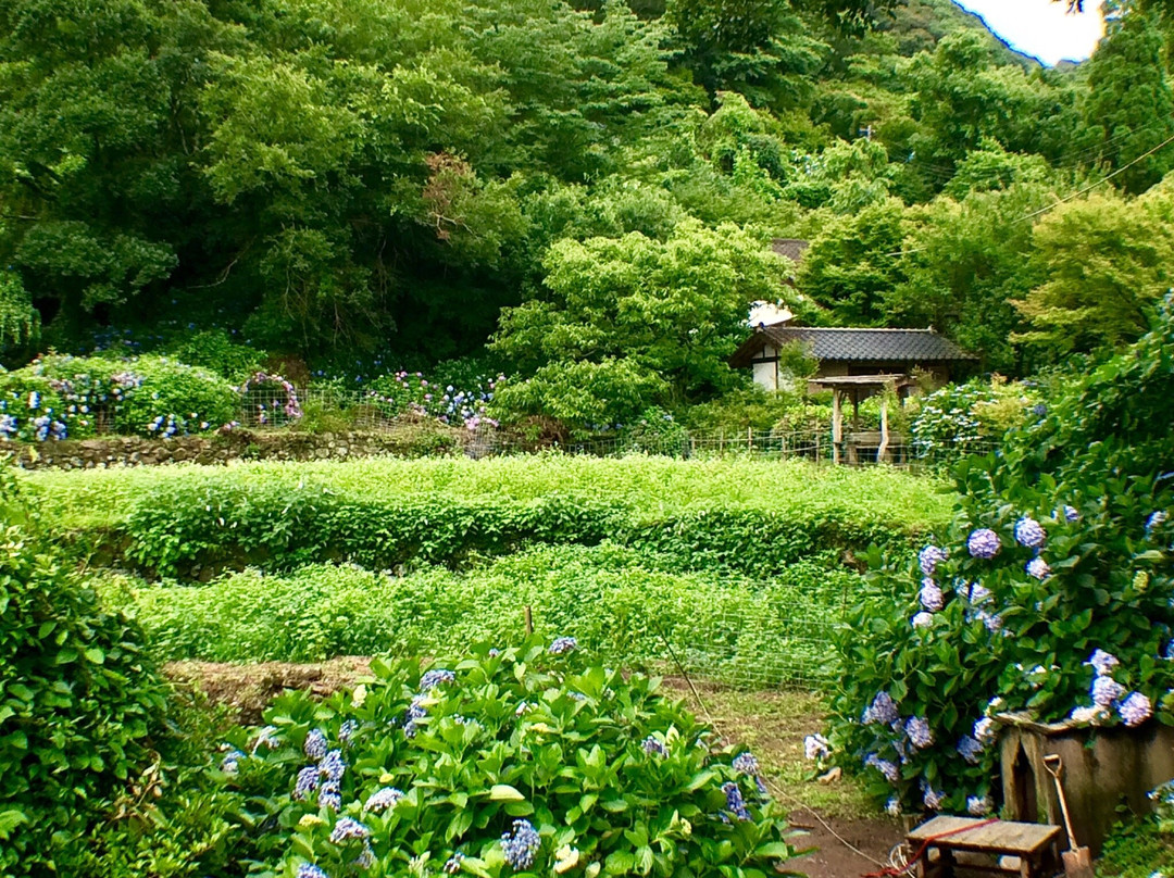 Shinonome no Sato-出水市必去景点