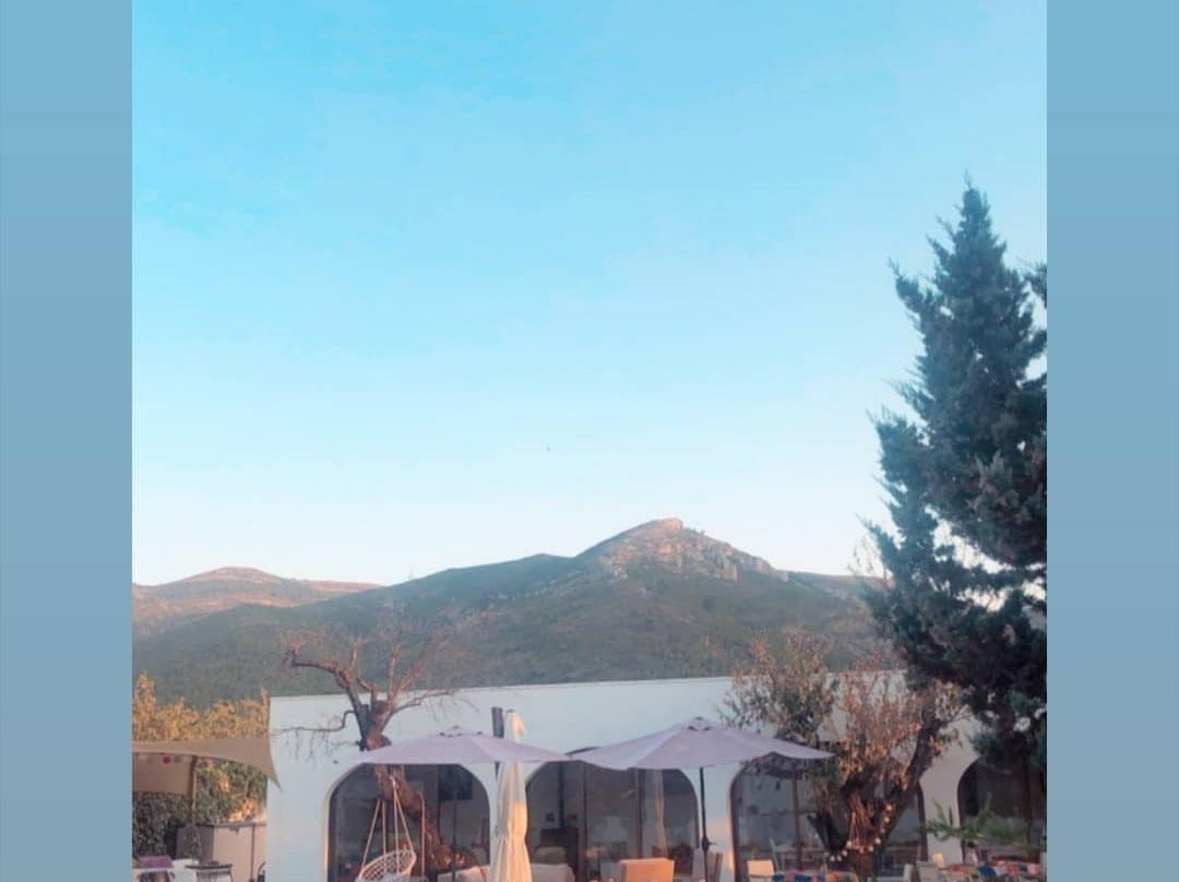 Bed & Breakfast Buena Idea主图