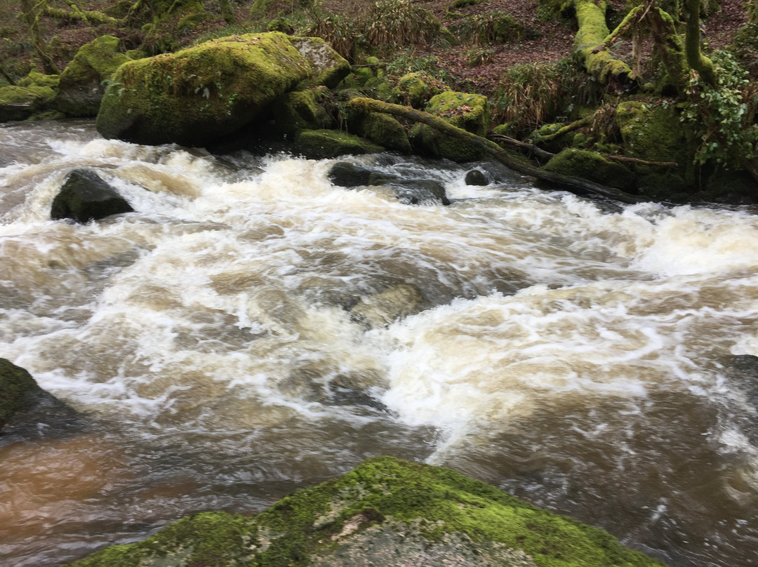 Golitha Falls and Siblyback lake circular walk景点图片