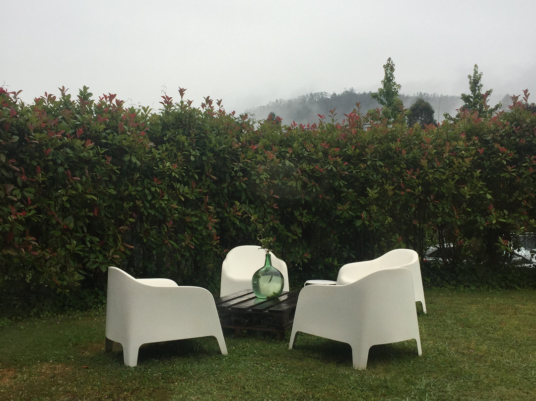 El Castano Dormilon主图