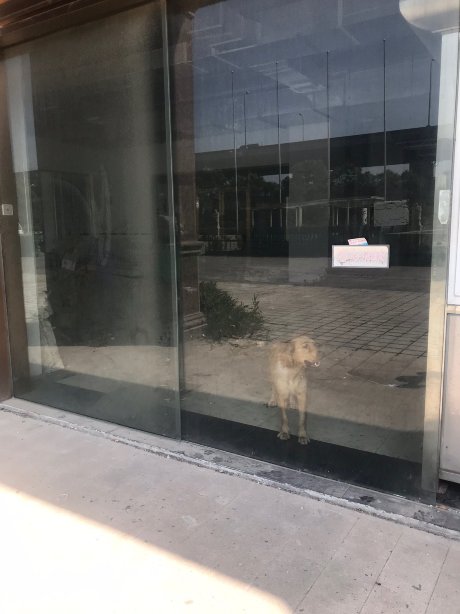 上海开元曼居精选酒店虹桥枢纽国展中心店-浴室