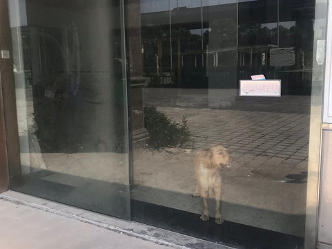 上海开元曼居精选酒店虹桥枢纽国展中心店主图