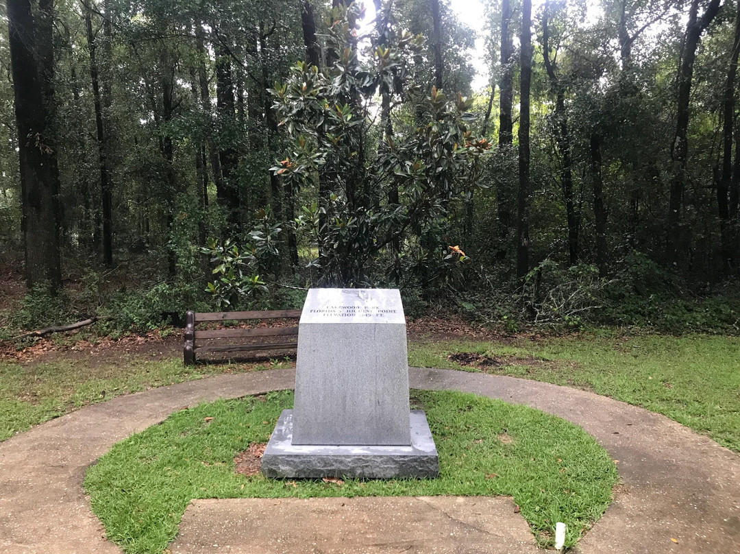 Britton Hill at Lakewood Park景点图片