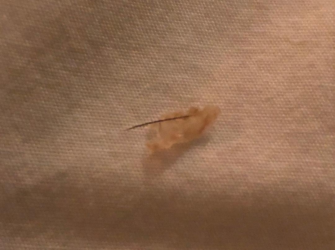 AmericInn by Wyndham Griswold主图