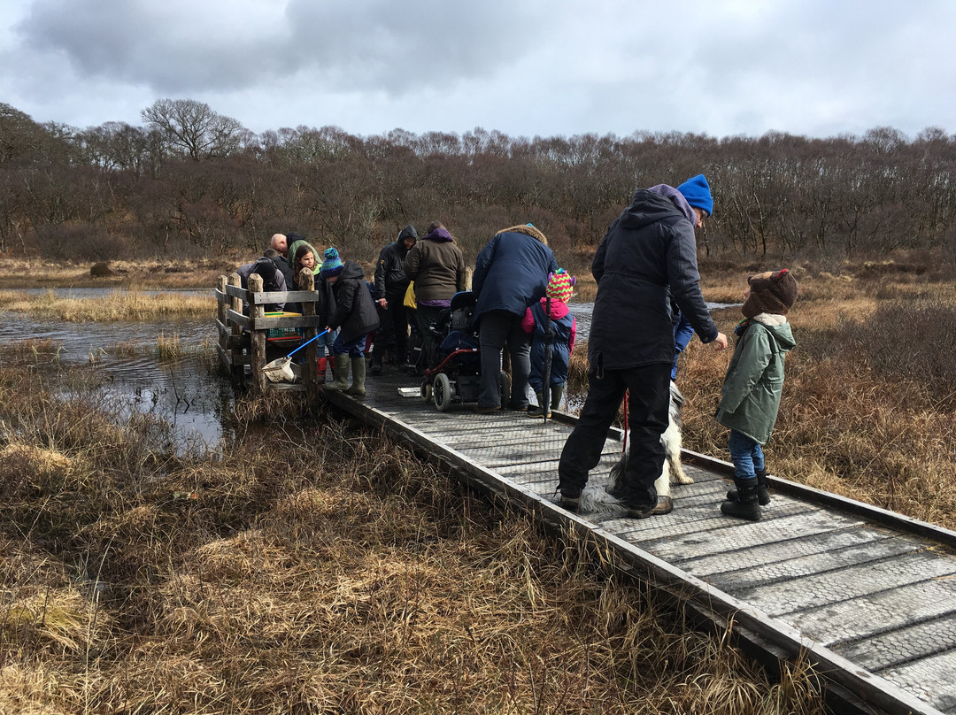 Argyll Beaver Centre景点图片