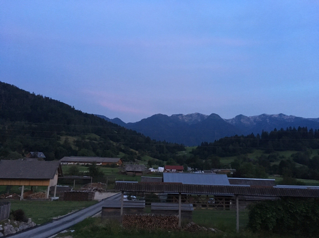 Apartmaji Hodak