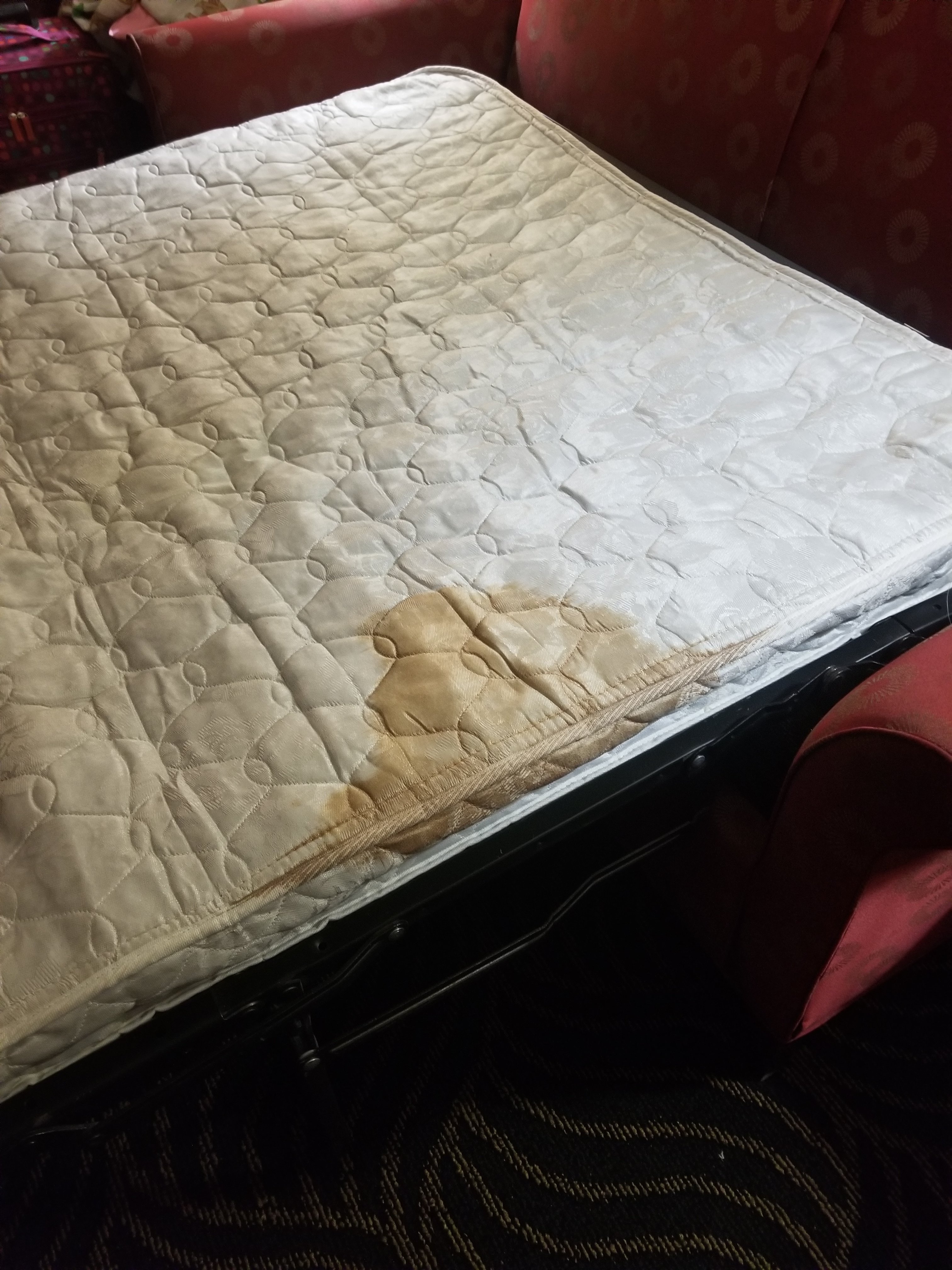 Florence Inns & Suites-官方