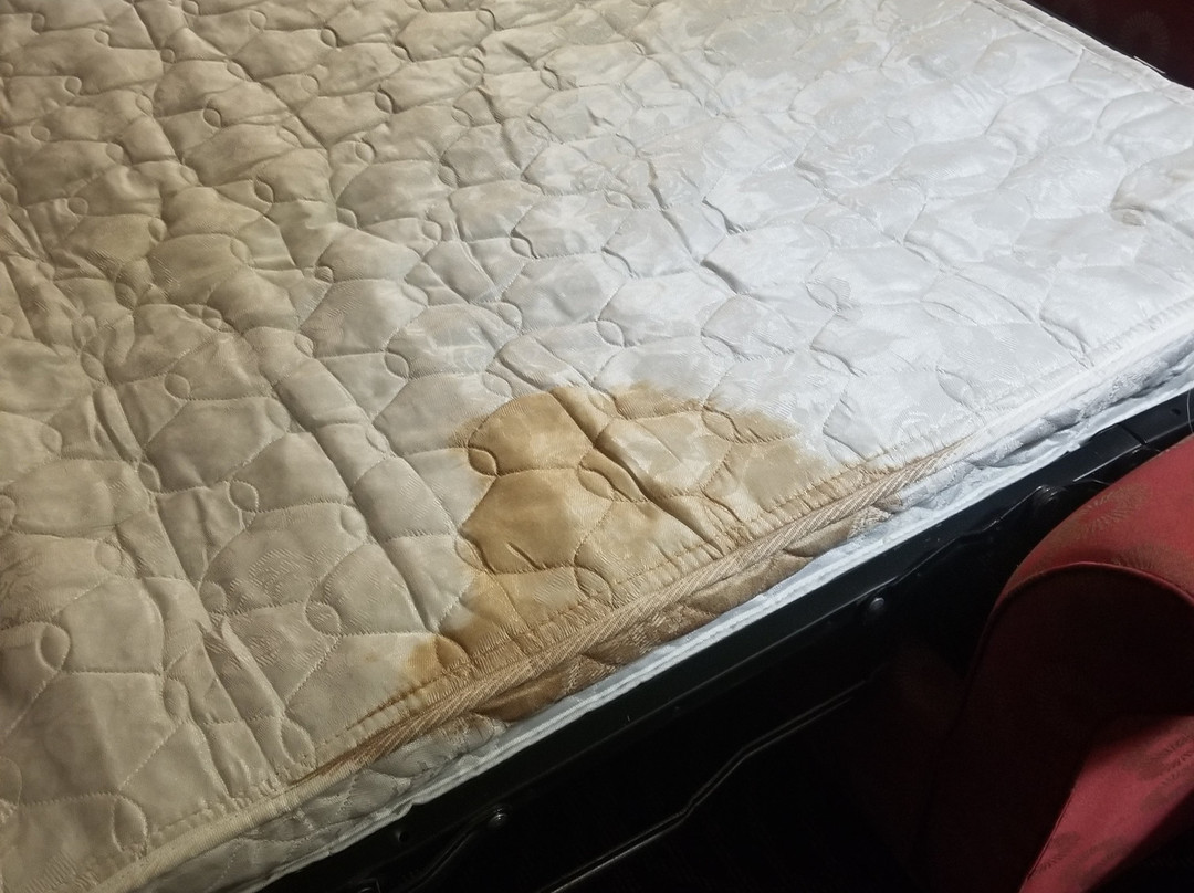 Florence Inns & Suites主图