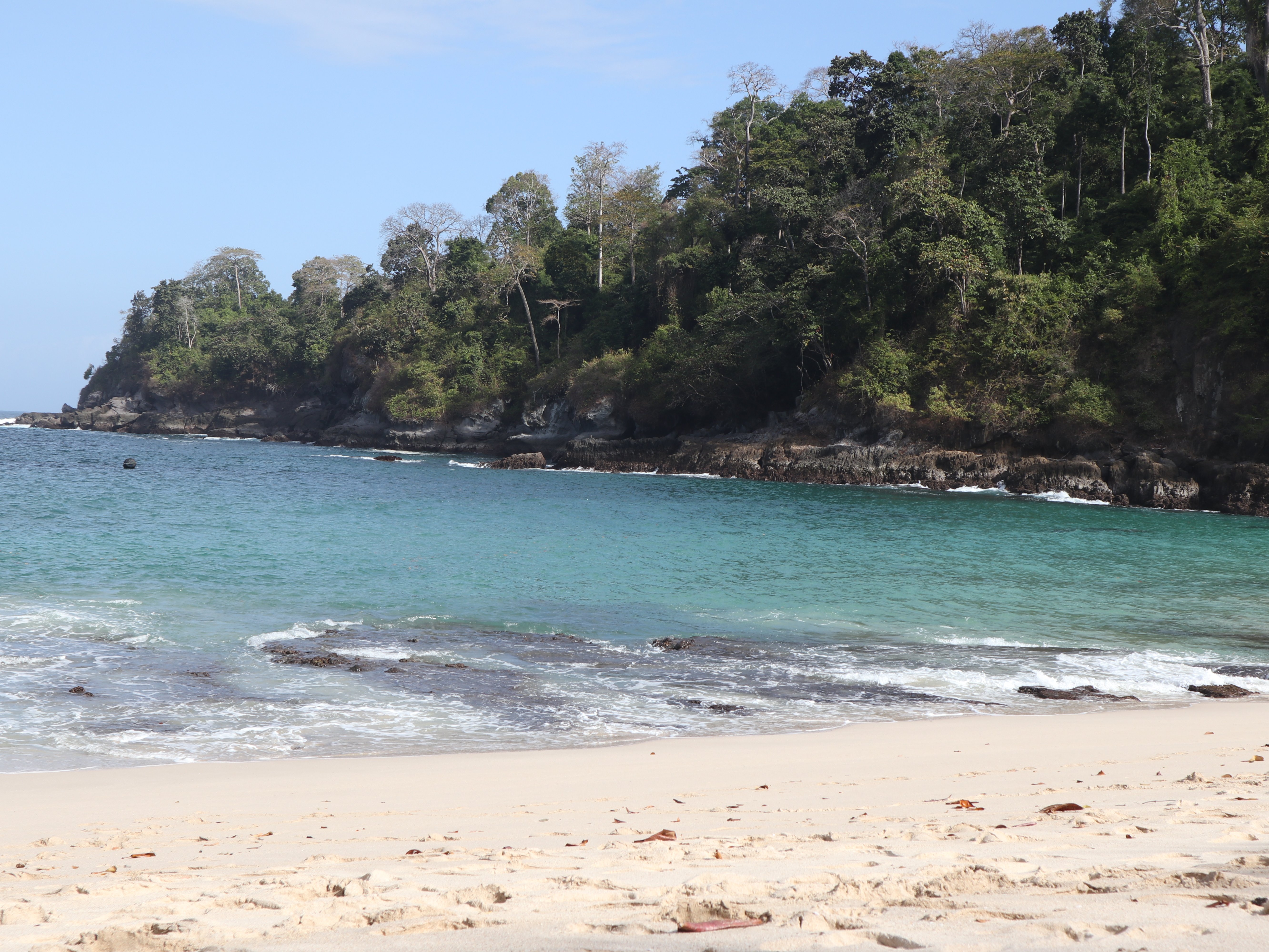 Java Turtle Homestay-泳池