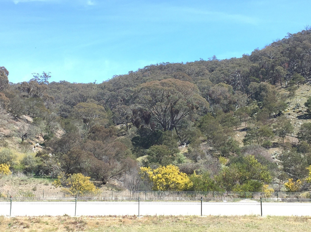 Lake George-Bungendore必去景点