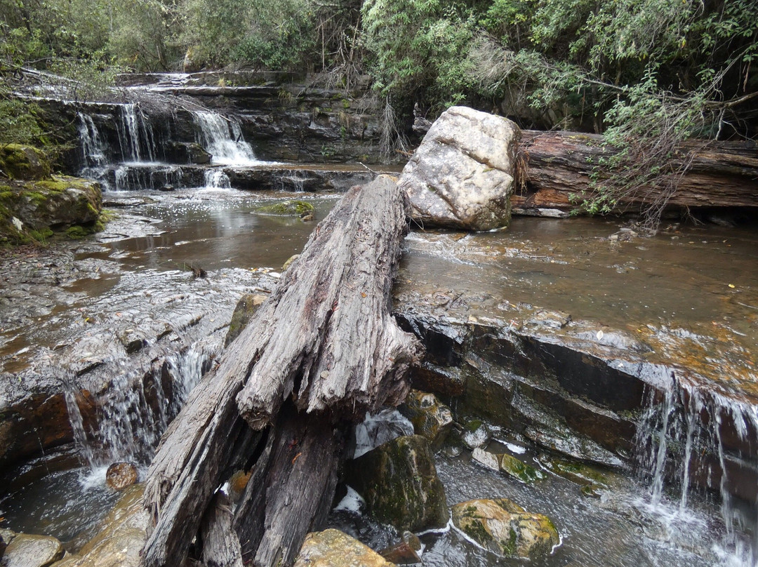 Lachlan旅游攻略图片