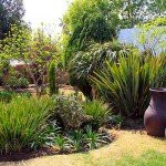 La Coscello Guest House主图