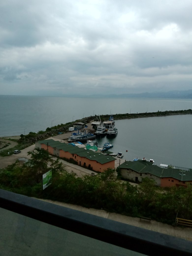 Royal Comfort Hotel-官方