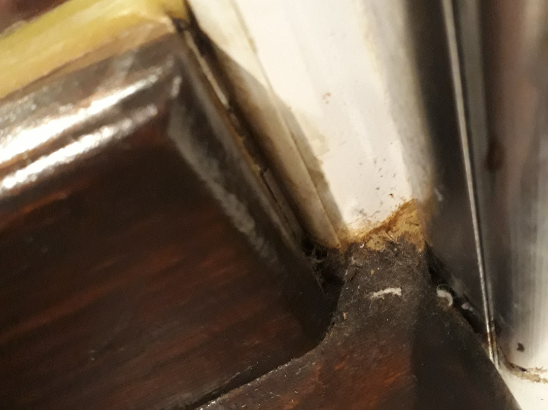 The Bear (Hotel)主图