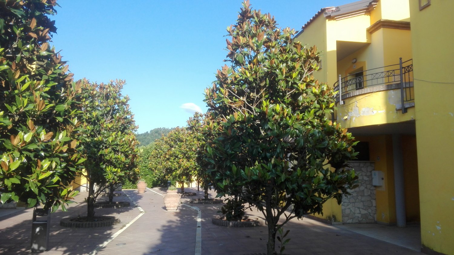Hotel Turrita-官方