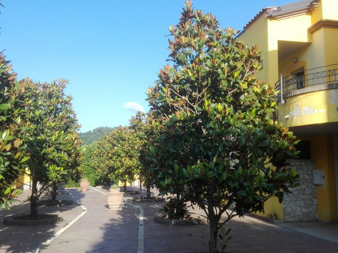 Piediluco旅游攻略图片
