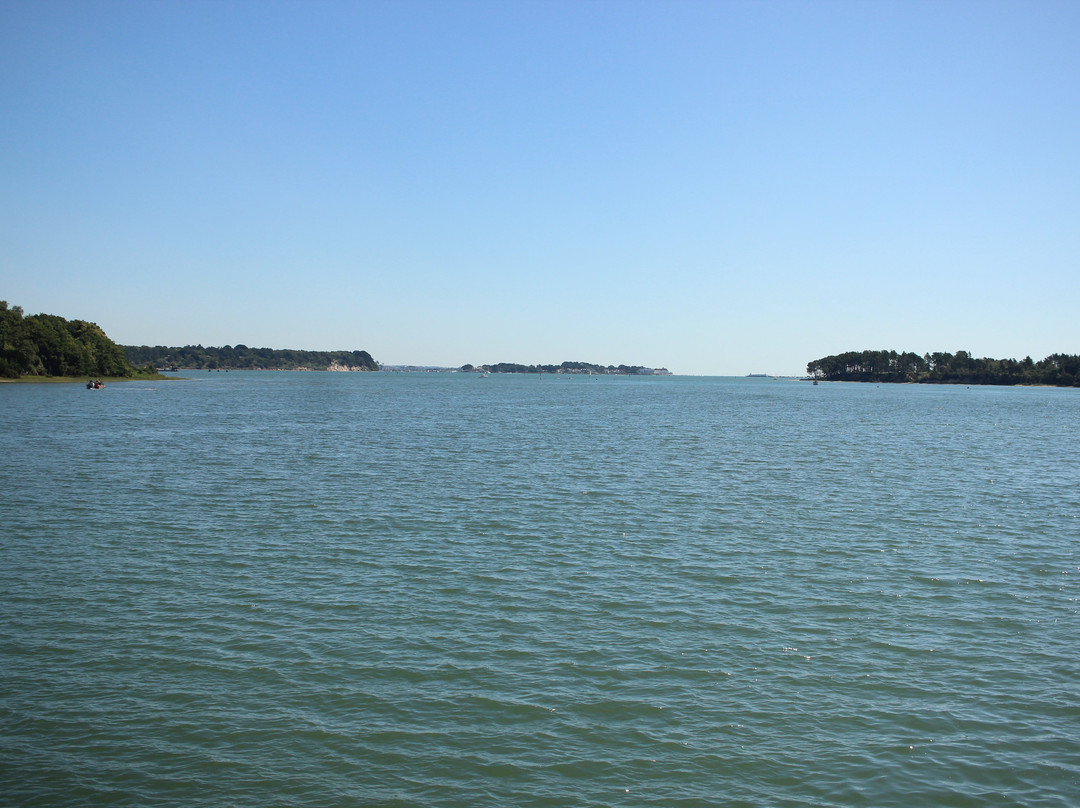 Brownsea Island Ferries-普尔必去景点