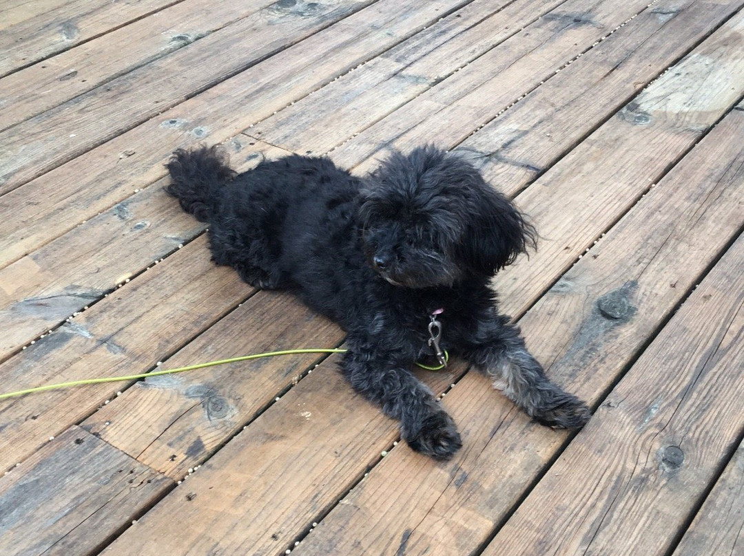 Red Bridge Inn主图