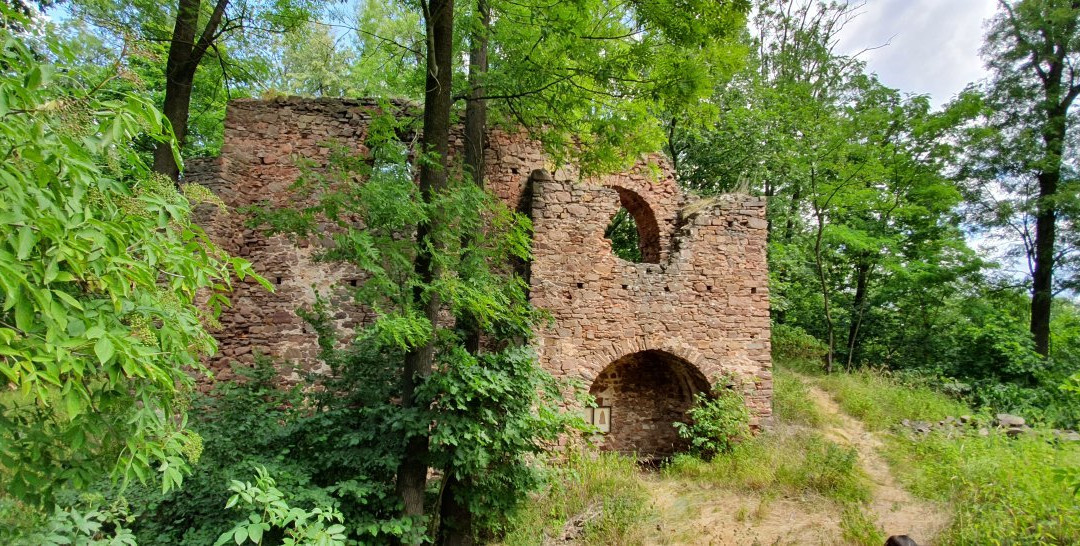 Ruins of Fulstejn Castle景点图片