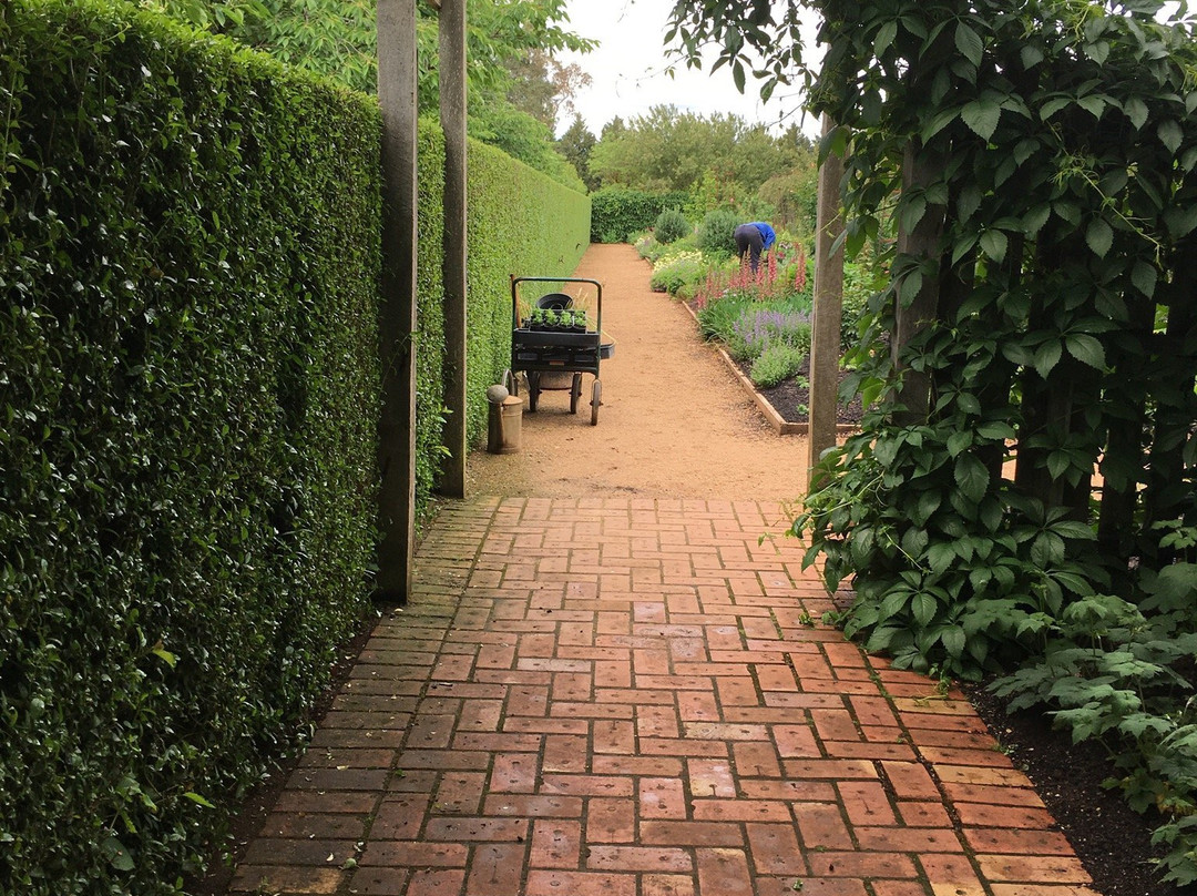 Lambley Gardens & Nursery-Ascot必去景点