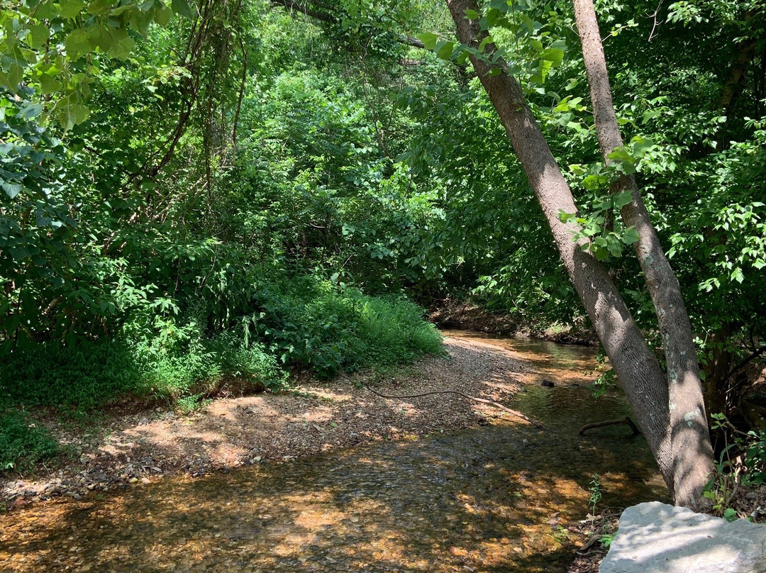 Tanyard Creek Nature Trail景点图片