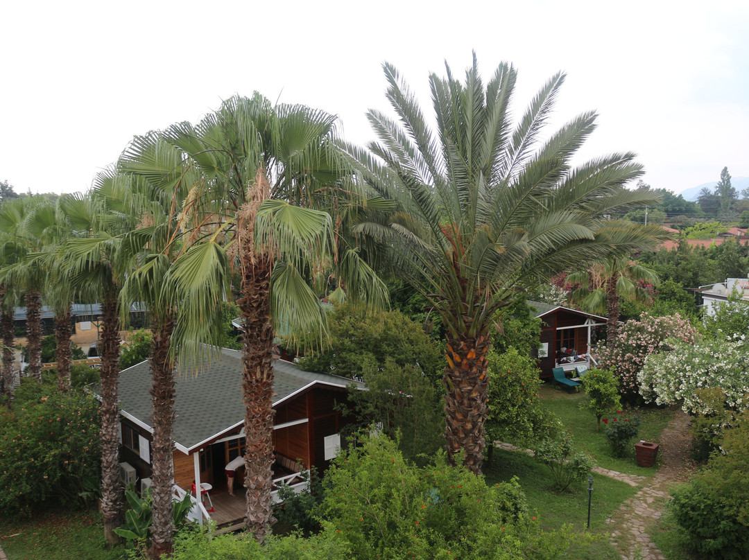 Hemerans Anatolia Resort Hotel主图