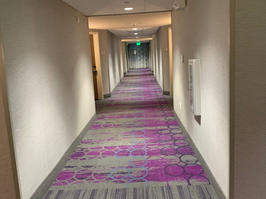 SpringHill Suites Fayetteville Fort Bragg主图