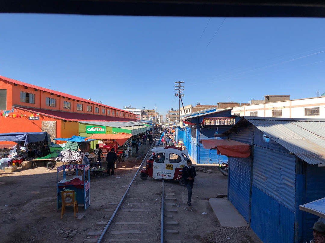 PeruRail - Titicaca景点图片