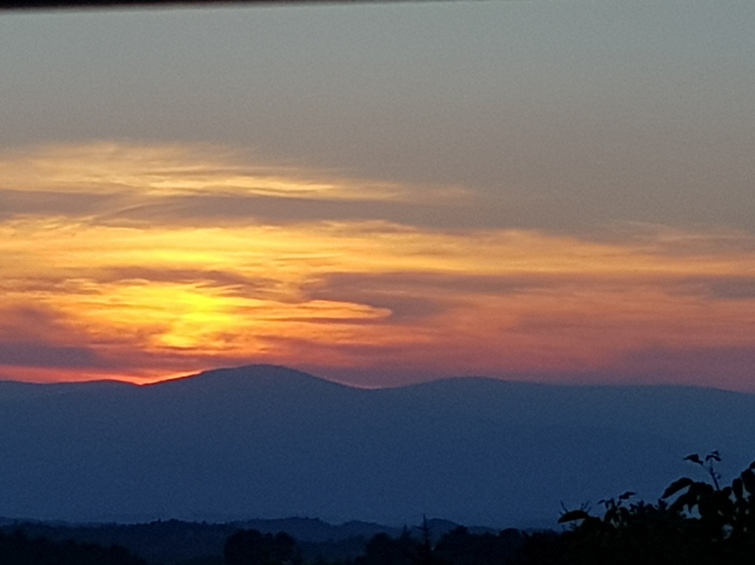 Schneiderannerl主图