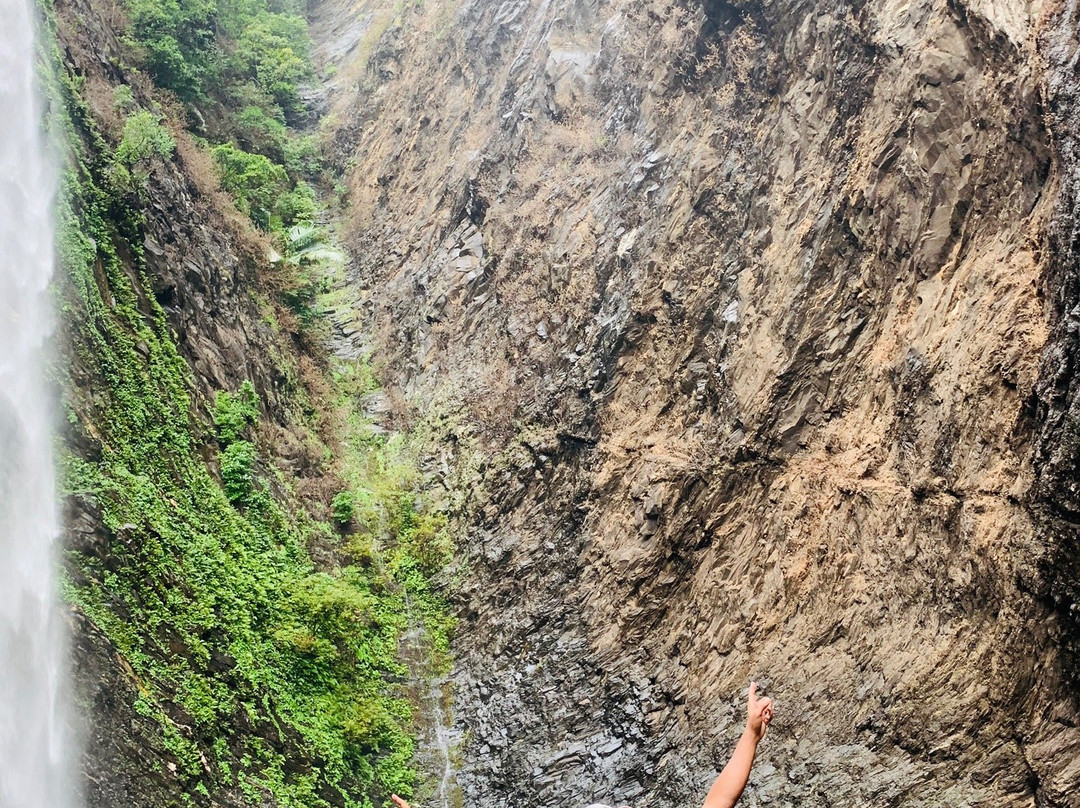 Kudlu Theertha Falls景点图片