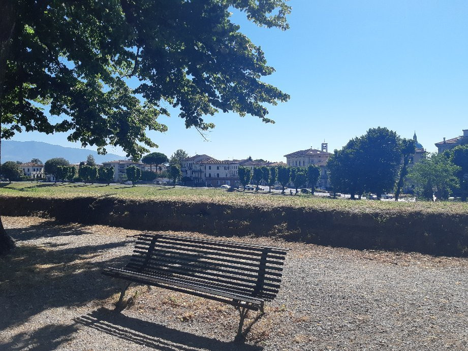 Cicli Rai Bike Rental-卢卡必去景点