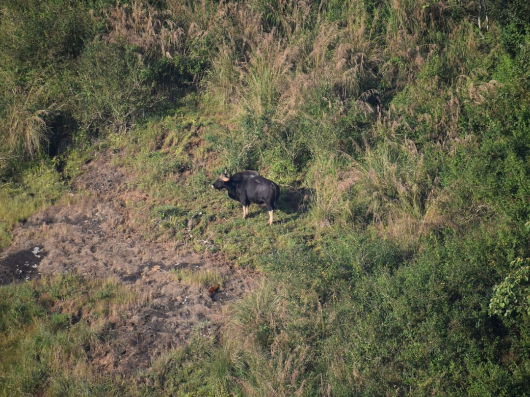 Tabernacle Resort主图