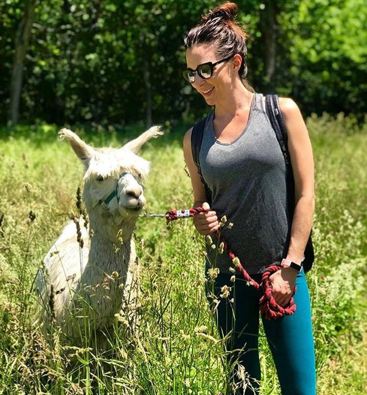 Clover Brooke Farm Llama Alpaca Hikes-海德公园必去景点