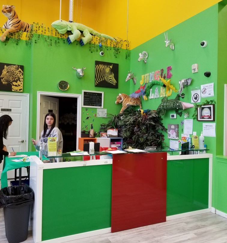 Jungle Land Corp.景点图片