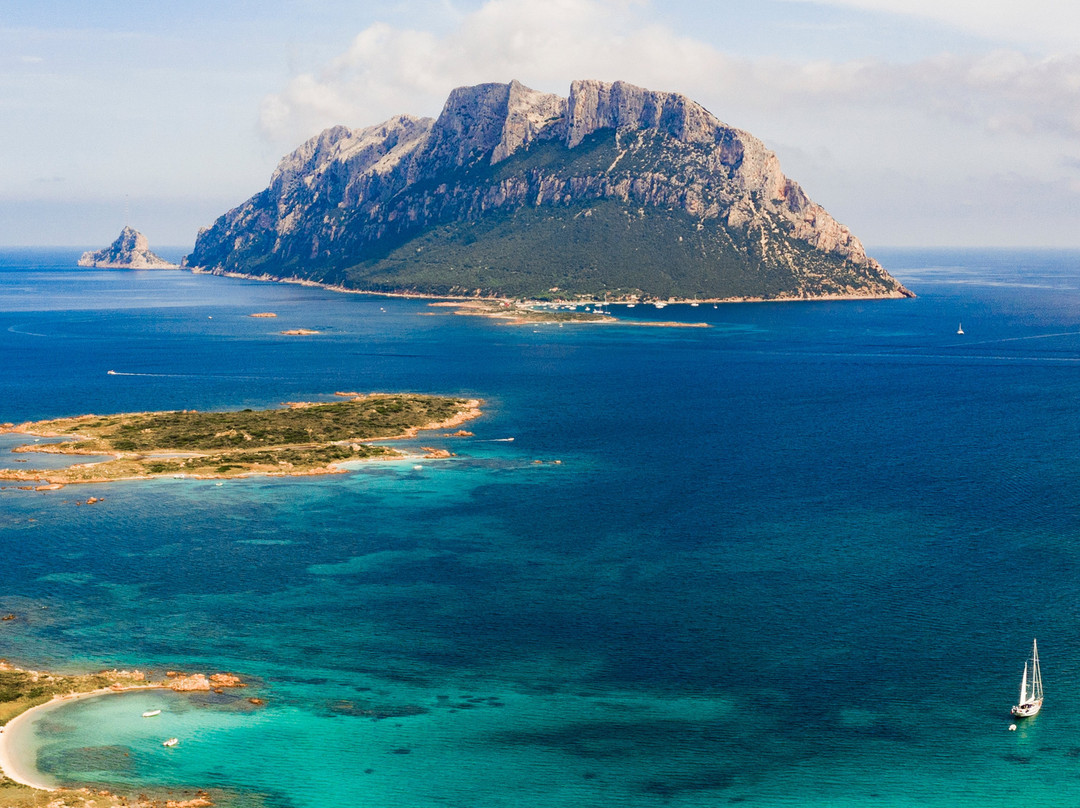 L'Area Naturale Marina Protetta Tavolara - Punta Coda Cavallo-奥尔比亚必去景点