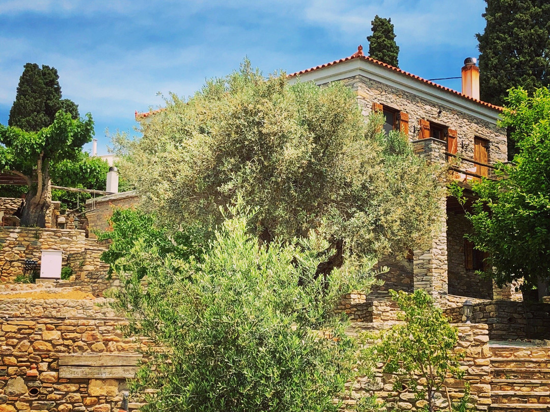 Traditional Mansion with pool & spa - The House of Prince主图