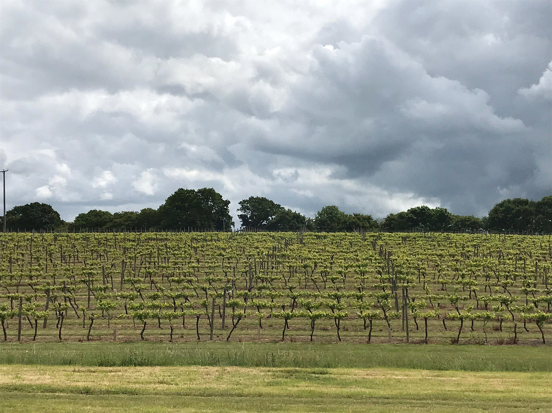 Biddenden Vineyards景点图片