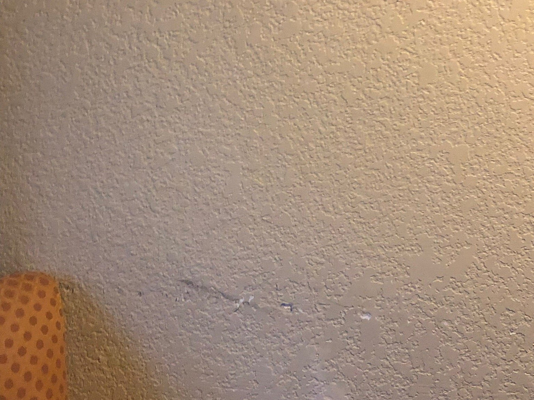 Spark By Hilton Brandon主图