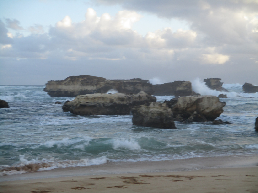 Peterborough Foreshore Playground-彼得伯勒必去景点