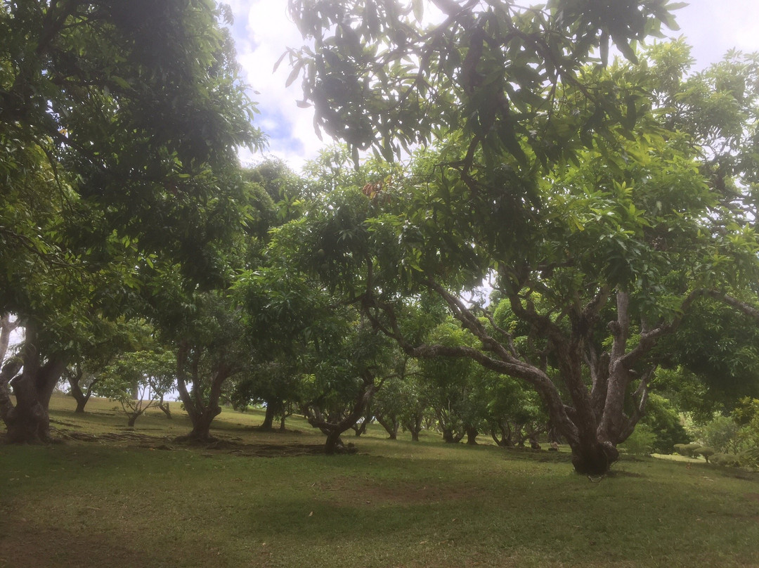 Scarborough Botanical Garden-斯卡伯勒必去景点