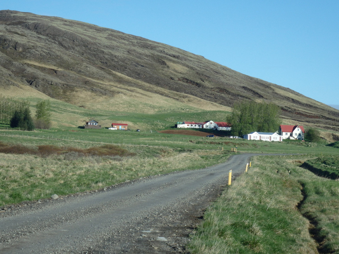 Sel Guesthouse主图