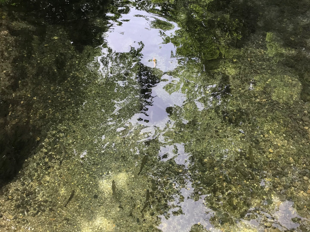 River Inn Resort And Spa主图